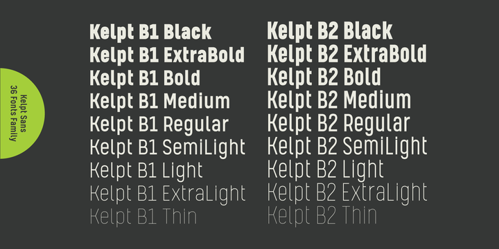 Ejemplo de fuente Kelpt Sans B1 Thin Italic